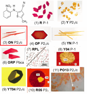 examples of polymorphism of organic materials