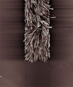 image of Crystallization of Organic Glasses
