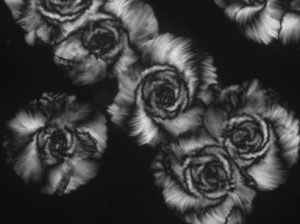 image of Crystallization of Organic Glasses