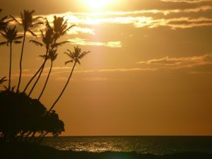 hawaii-sunset-p1000674-resized- news