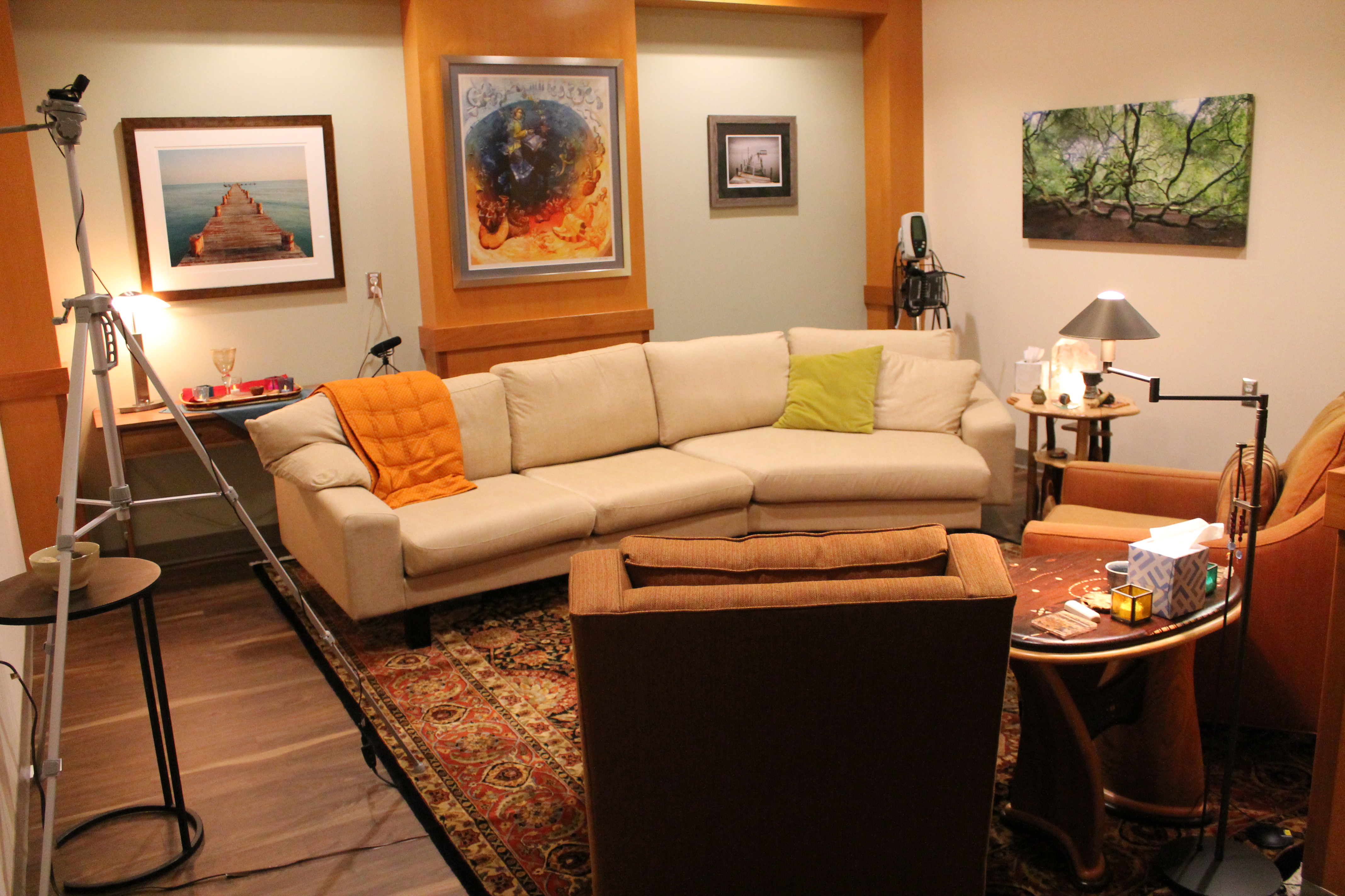 comfortable sofas, a rug, framed artwork, and low lighting enhance the psychoactive substances clinical therapy room
