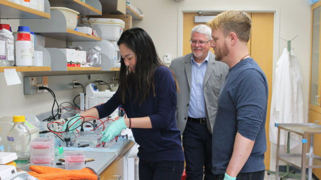 Naomi Do, Michael Taylor, and Kevin Lanham working in the lab