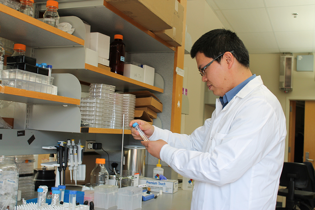 Quanyin Hu works in his lab.