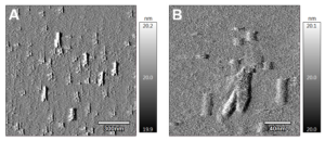 Atomic-scale images of gemcitabine-loaded nanoparticles