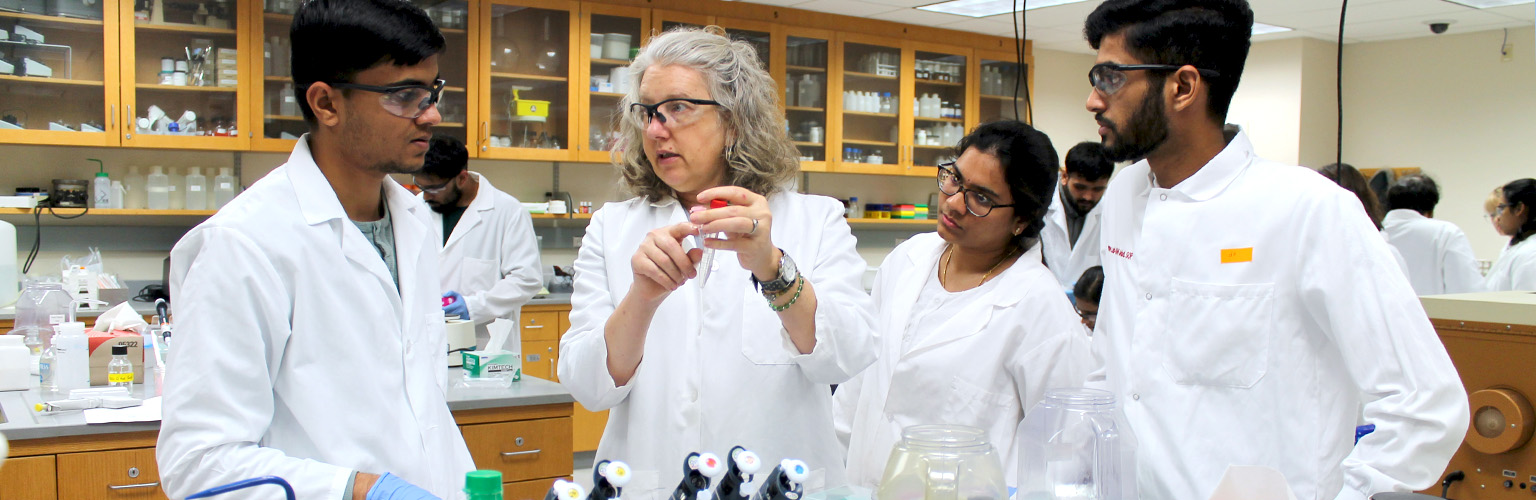 Professor Rosen explains a concept to students during lab