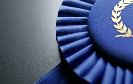 a blue ribbon with decorative gold olive branches