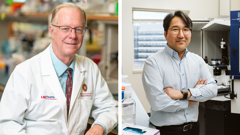 UW–Madison Leading New Research Collaboration Aimed at Treating Lung ...