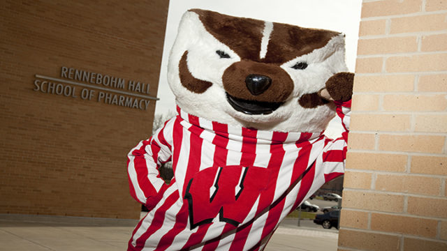 Bucky Badger at Rennebohm Hall