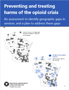 Thumbnail of Wisconsin DHS publication titled "Preventing and treating harms of the opioid crisis"