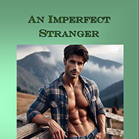 Cover of the 'Imperfect Stranger' book with an image of a man in front of mountains