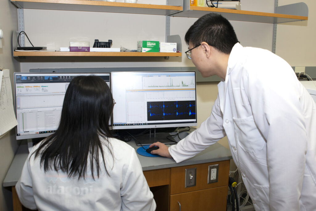 Zhu (right) and postdoctoral fellow Shuling Xu are analyzing data to quantify levels of D- vs L-amino acids in a sample.