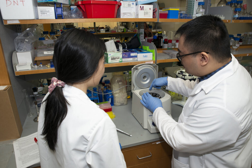 Wu (left) and analytical chemistry student Dylan Tabang talk through needed sample preparation steps.