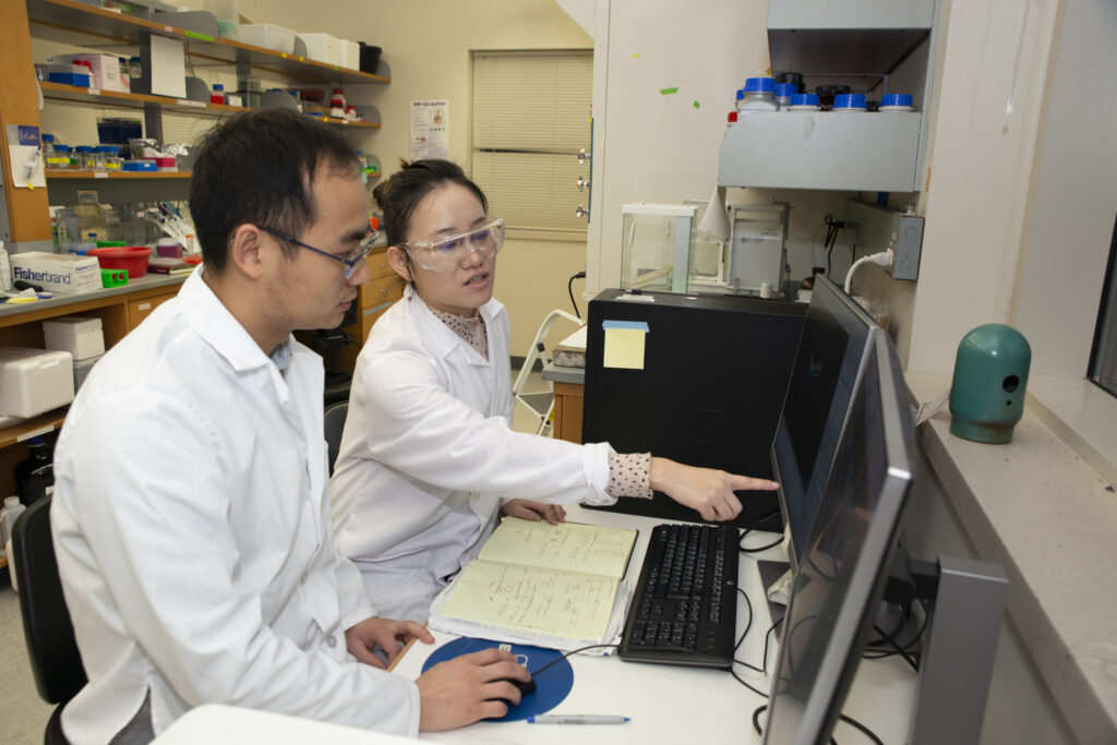 Zhang (left) and postdoctoral fellow Min Ma analyze mass spectrometry images of a human laryngeal cancer biopsy.