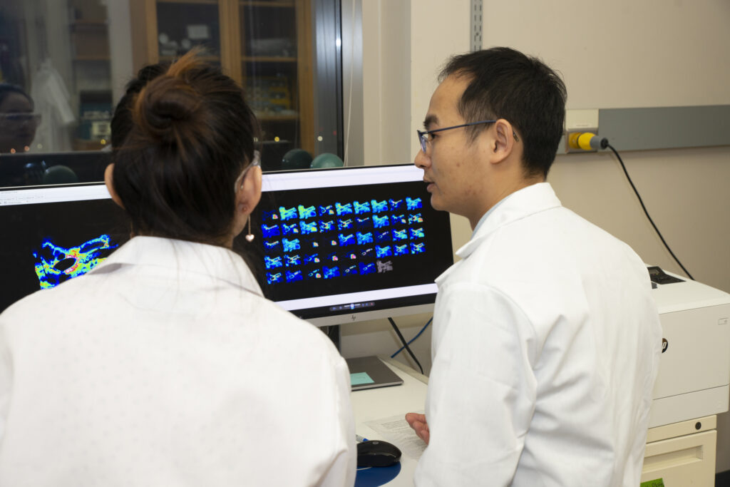Zhang (right) and postdoctoral fellow Min Ma analyze mass spectrometry images of a human laryngeal cancer biopsy.