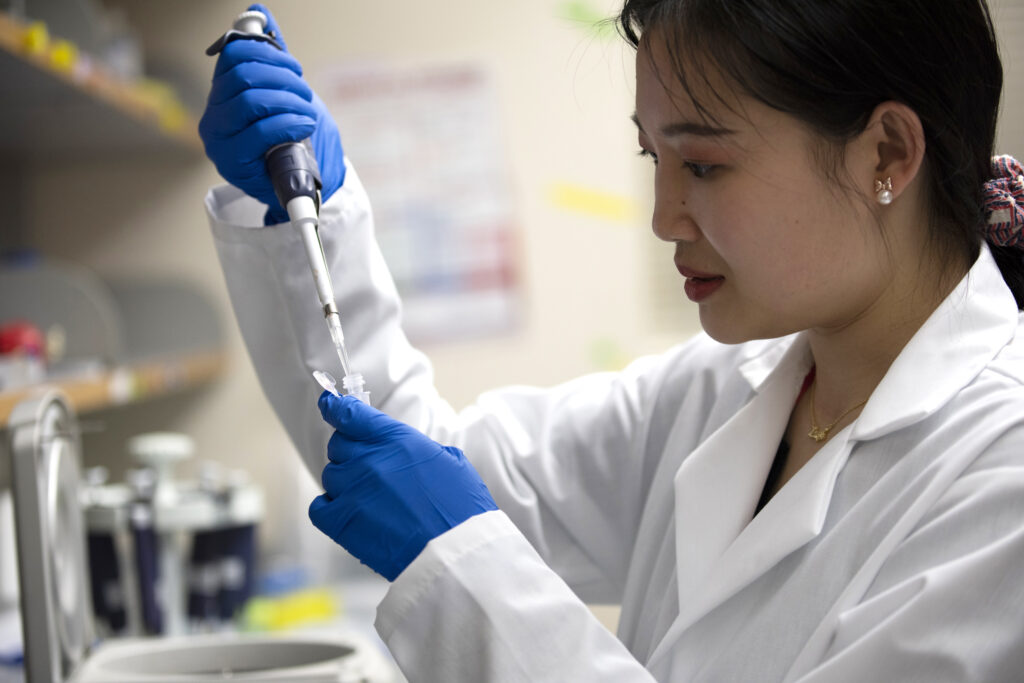 Pharmaceutical Sciences graduate student Feixuan Wu uses a micropipette to process a sample for mass spectrometry analysis.