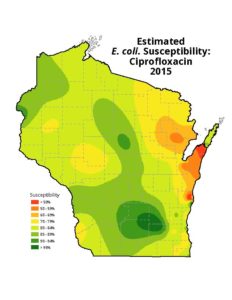 A Wisconsin map of the resistance of e. coli bacteria against ciprofloxacin