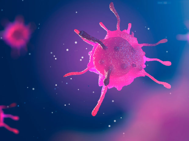 a neutrophil floats in an intercellular space