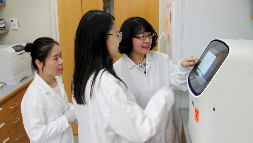 Assistant Professor Jun Dai works in her lab in the School of Pharmacy.