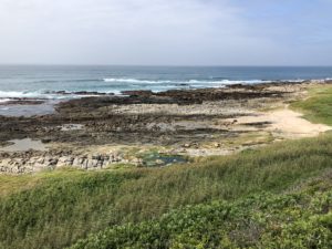 Small pools along the southeaster South African coast.