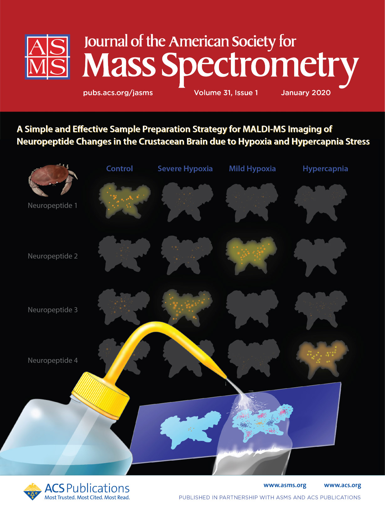 Journal of the American Society for Mass Spectrometry Volume 31 Issue 1 cover