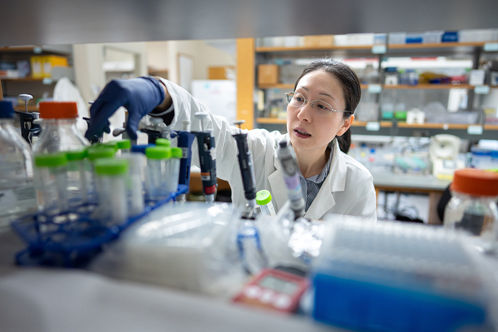 Jiaoyang Jiang works in her lab a the School of Pharmacy