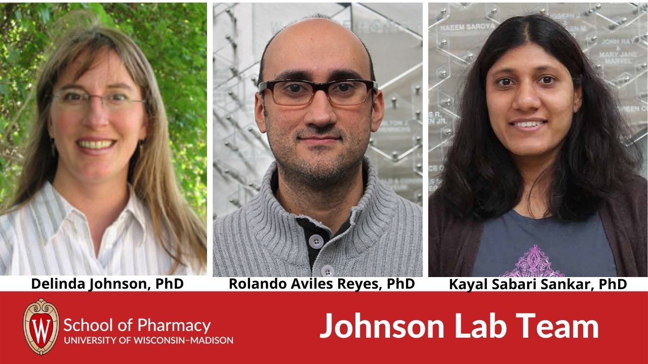 Delinda Johnson, Rolando Aviles Reyes and Kayal Sabari Sankar from the Johnson lab are the team that generated the data.