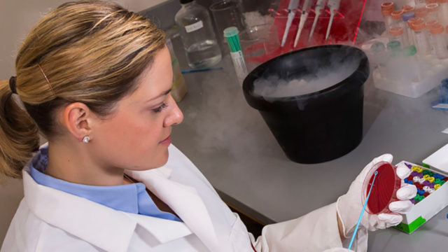 Laurel Legenza working with a substance in a petri dish and a bucket filled with smoke on the counter next to her