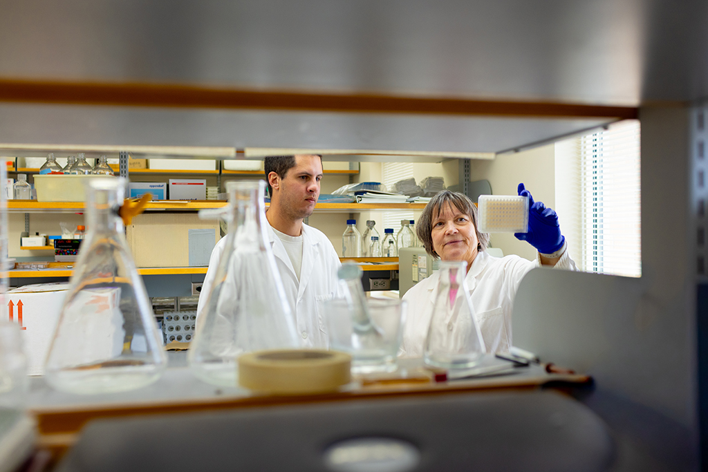 Kellen Lund and Mary Hayney look at a tray