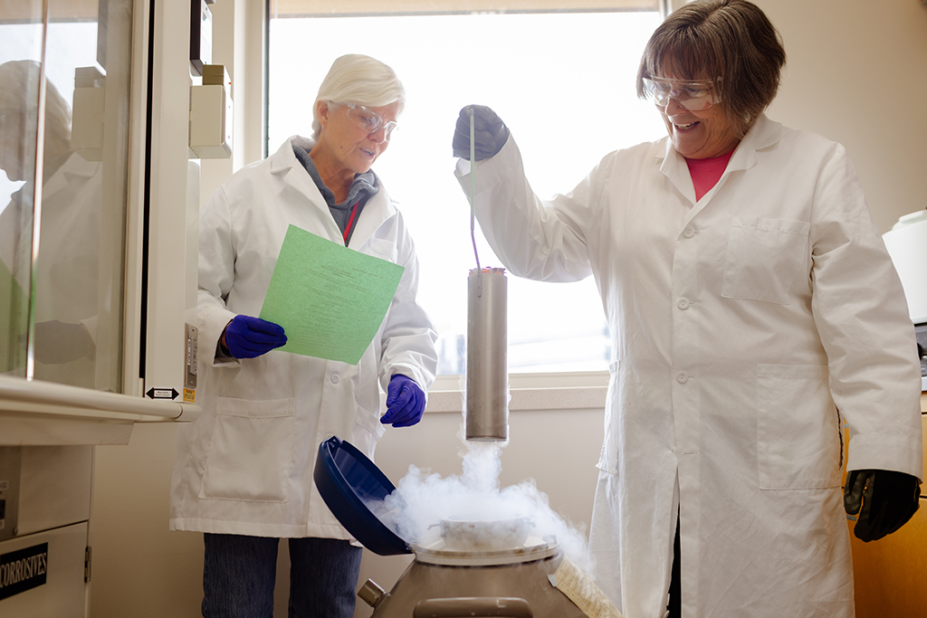 Sue McCrone and Mary Hayney pick a cylinder out of a steaming cannister