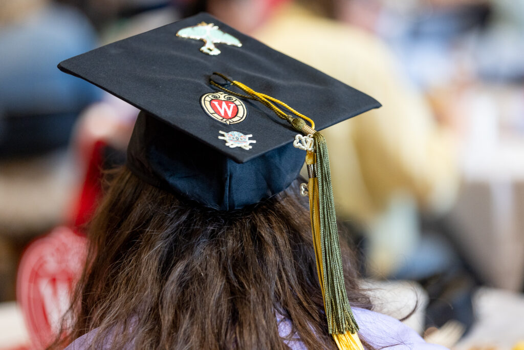 A PharmTox grad's hat, decorated with insect decals.