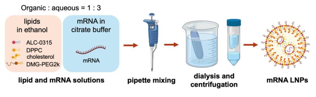 abstract image: Lipid & mRNA solutions are mixed with a pipette, and then undergo dialysis and centrifugation to yield mRNA lipid nanoparticles