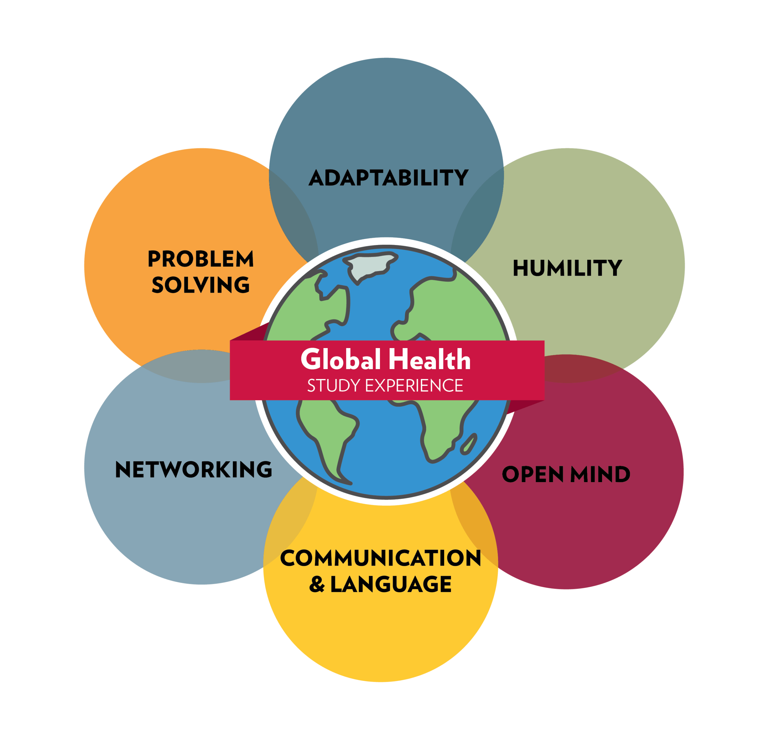 Global Health Study Experience: Problem solving; Networking; Humility; Open mind; Communication & Language; Adaptability