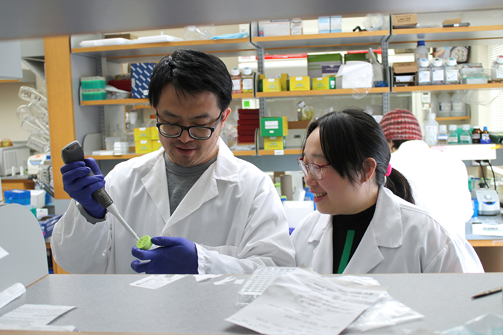 Ting Fu with a graduate student in her lab