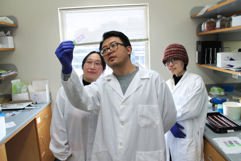 A scientist holds up a small slide for inspection while two others look on