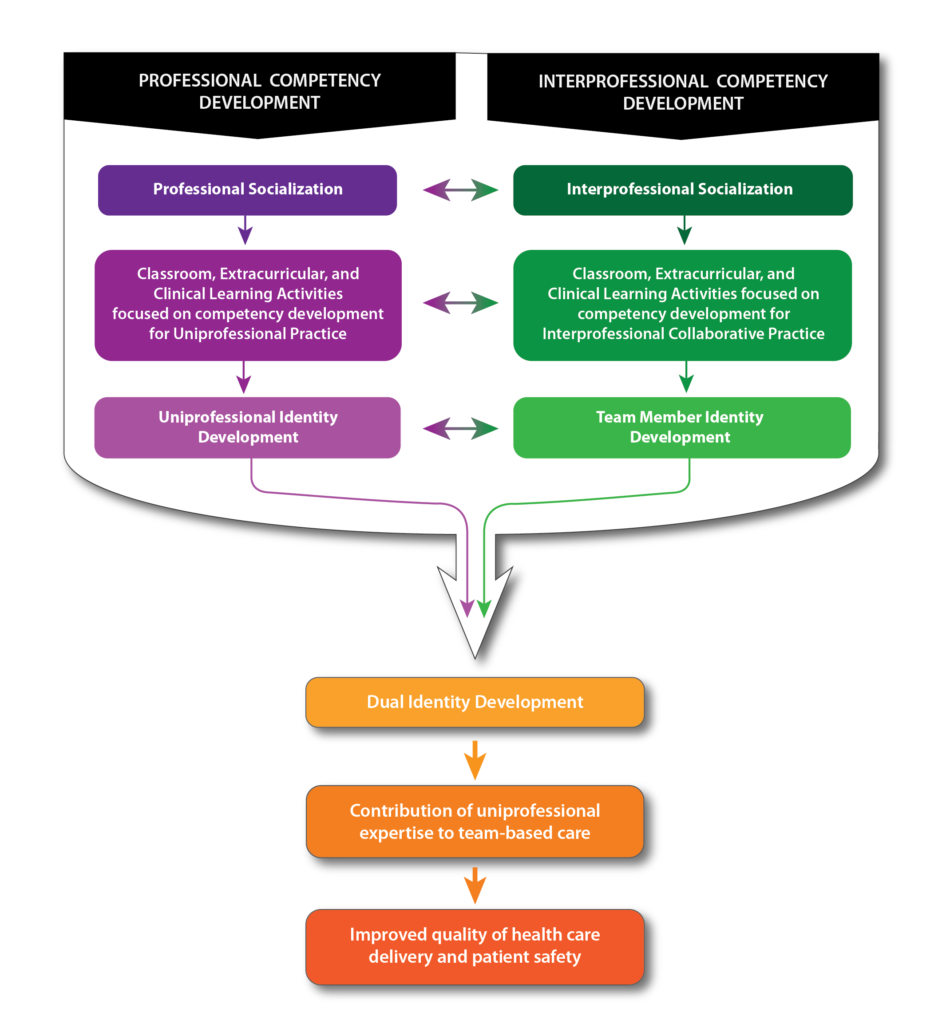 Dual identity formation flow chart