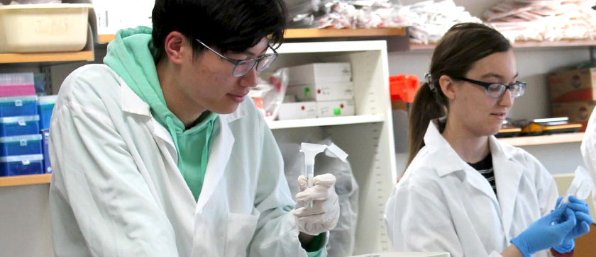 Students in lab prepare to pipette solution