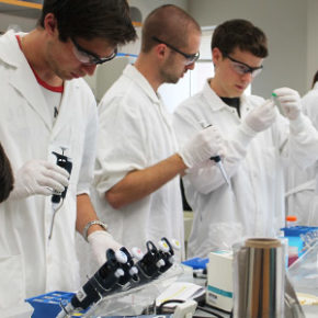 Pharmacology-Toxicology students work on an experiment in lab.