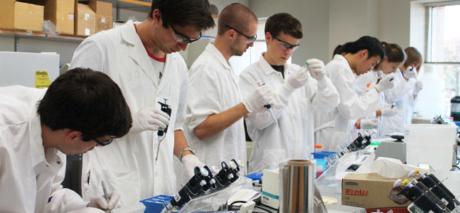 Pharmacology-Toxicology students work on an experiment in lab.