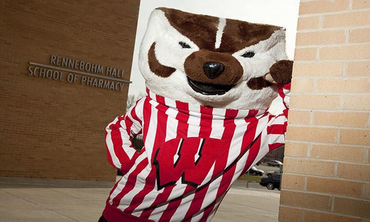 Bucky Badger at Rennebohm Hall