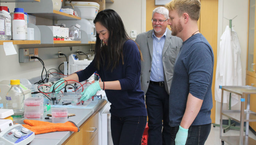 Naomi Do, Michael Taylor, and Kevin Lanham working in the lab