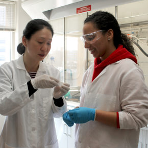 Assistant Professor Jiaoyang Jiang and Arielis Estevez working in the lab