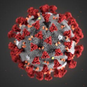 3D Rendering of the COVID-19 virus