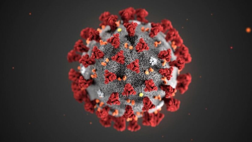 3D Rendering of the COVID-19 virus