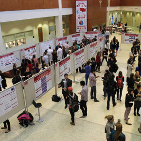 Students, faculty, and health professionals from the Madison area attended the inaugural First Annual Doctor of Pharmacy and Pharmacology-Toxicology Research Symposium.
