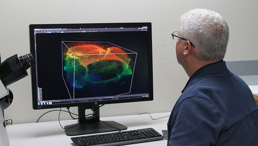 Assistant Professor Michael Taylor reviewing images in his lab.