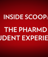 Inside Scoop: The PharmD Student Experience