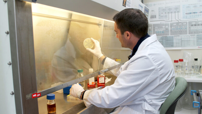 Warren Rose working in a fume hood in his lab