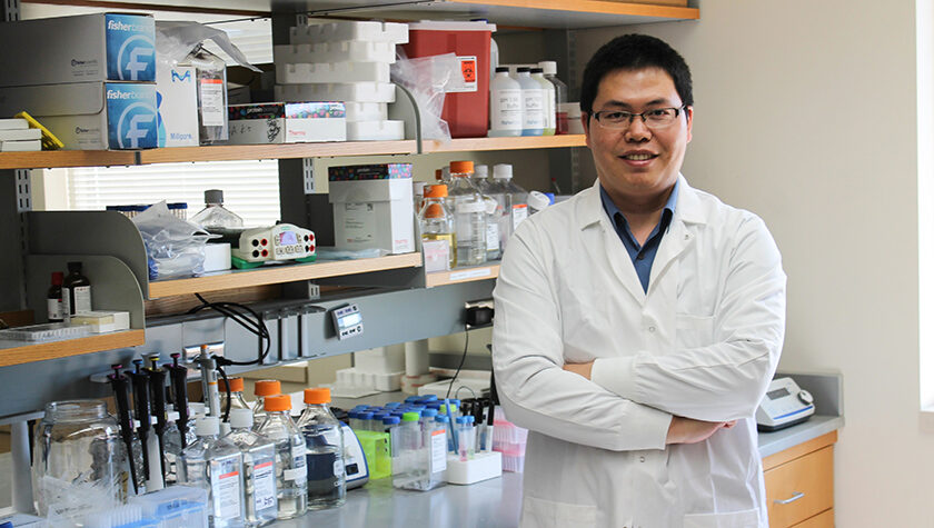 Assistant Professor Quanyin Hu in his lab