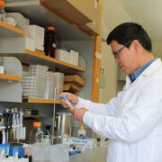 Quanyin Hu works in his lab.