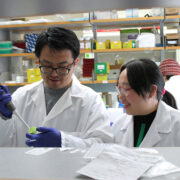 Ting Fu with a graduate student in her lab